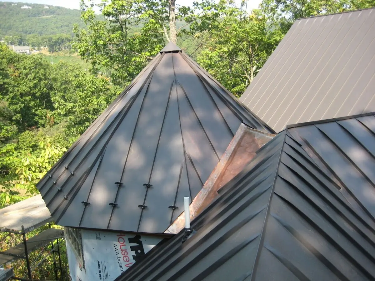 Professional Gutter Cleaning by Craftsman Roofing in South Land Park
